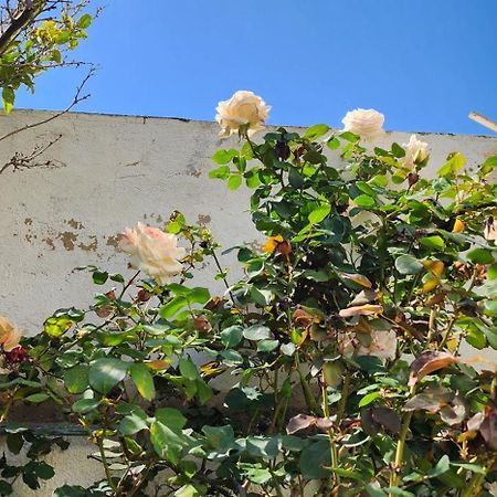 Duplex Bien Equipe Securise Avec Jardin Et Veranda La Marsa Exterior foto