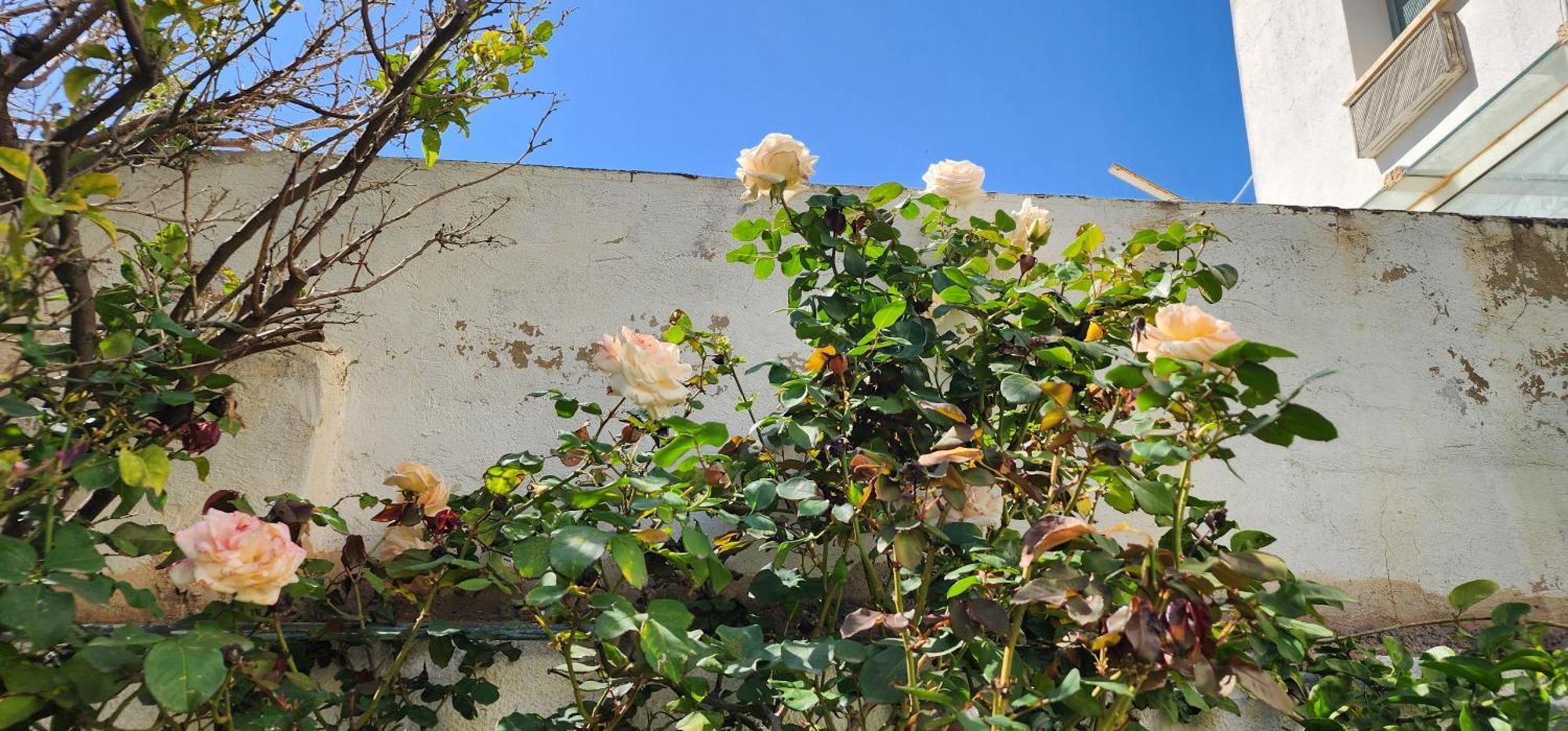 Duplex Bien Equipe Securise Avec Jardin Et Veranda La Marsa Exterior foto