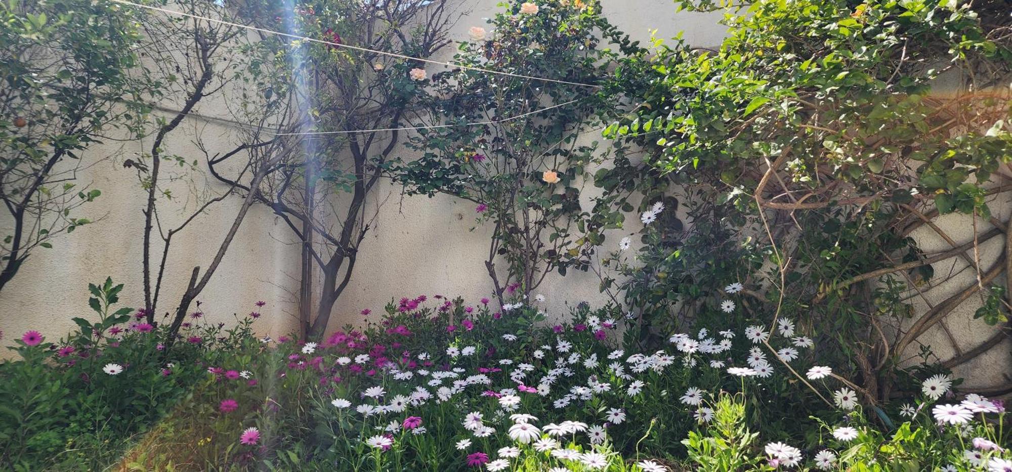 Duplex Bien Equipe Securise Avec Jardin Et Veranda La Marsa Exterior foto