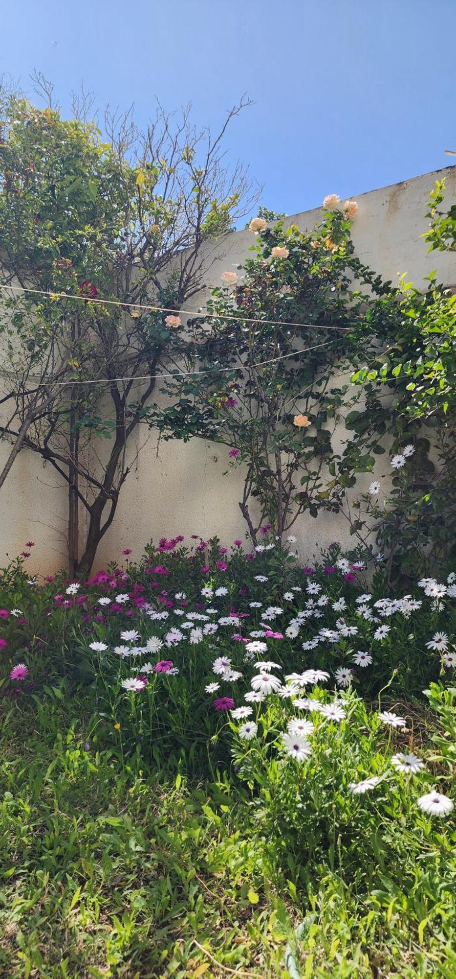 Duplex Bien Equipe Securise Avec Jardin Et Veranda La Marsa Exterior foto